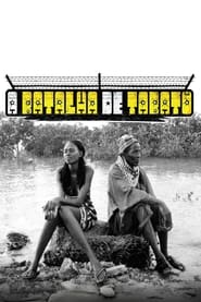 A batalha de TabatÃ´