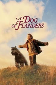 A Dog Of Flanders A Dog Of Flanders