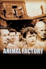 Animal Factory Animal Factory