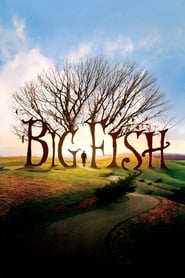 Big Fish Big Fish