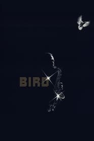 Bird Bird