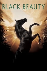 Black Beauty Black Beauty