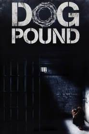 Dog Pound Dog Pound