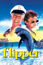Flipper Flipper