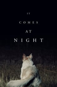 It Comes at Night It Comes at Night