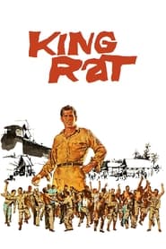 King Rat King Rat