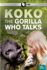 Koko: The Gorilla Who Talks to People Koko: The Gorilla Who Talks to People