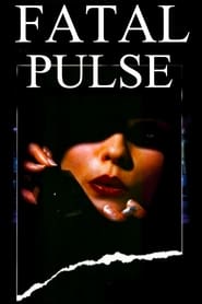 Night Pulse Night Pulse
