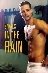 Snails in the Rain Snails in the Rain