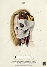 Soldier Bee Soldier Bee
