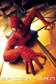 Spider Man Spider Man