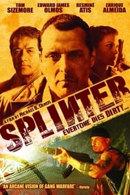 Splinter Splinter