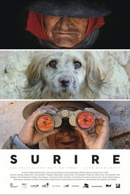 Surire Surire