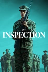 The Inspection The Inspection