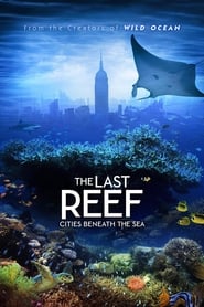 The Last Reef The Last Reef