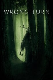 Wrong Turn Wrong Turn